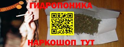 сатива Малгобек