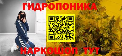 сатива Малгобек