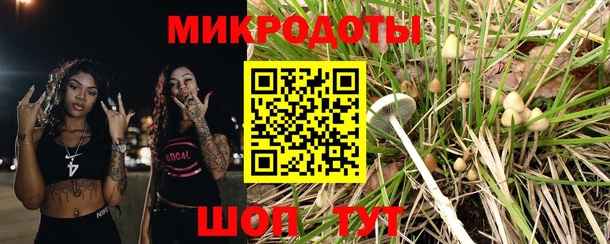 Иваново  Галлюциногенные грибы Cubensis  цена наркотик  Вход с VPN 