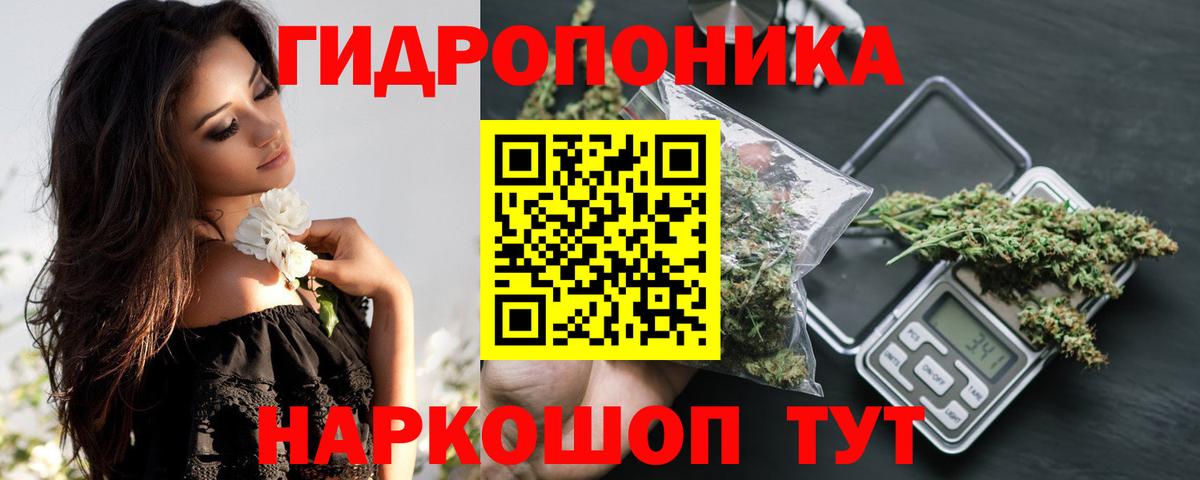Шишки марихуана конопля  Канабис гибрид  Иваново  Вход с VPN  МАРИХУАНА OG Kush 
